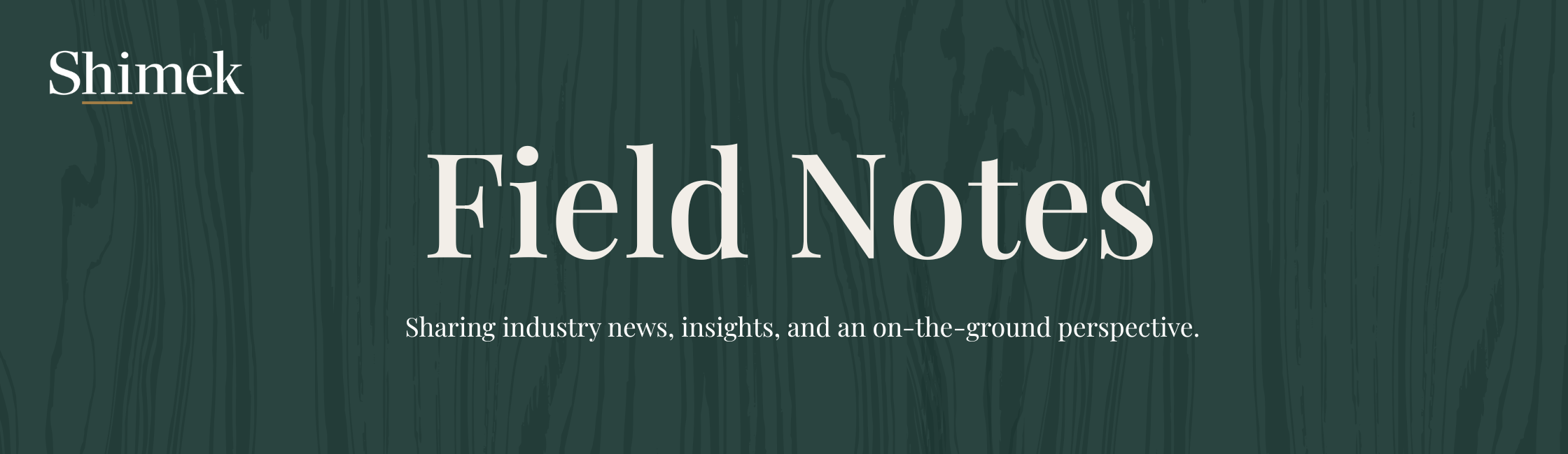 Field Notes newsletter artwork